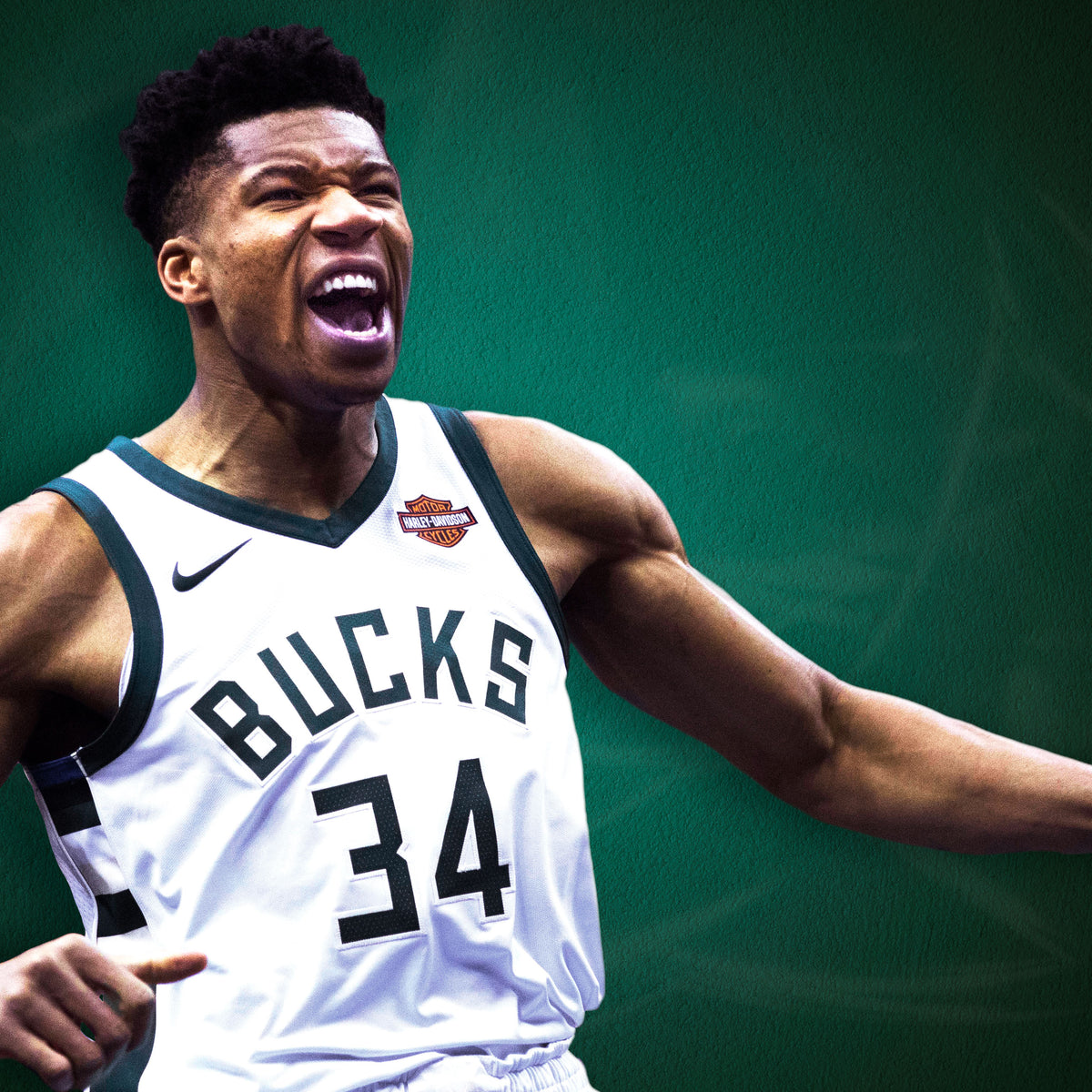 Giannis Antetokounmpo Signed Milwaukee Bucks Jersey With Harley