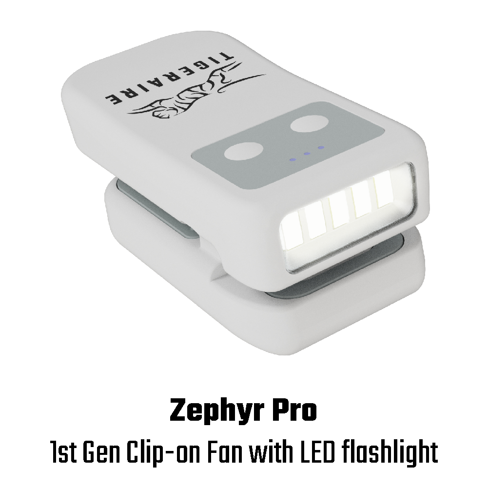 Zephyr 2 Pro